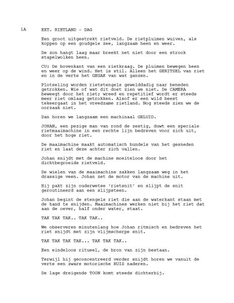 Rietland script preview